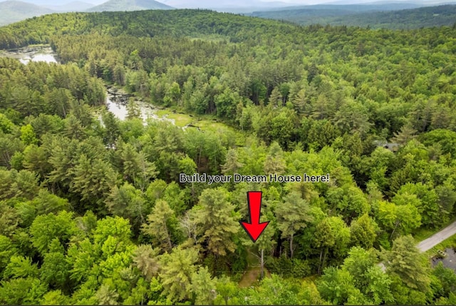 321 Antler Lake Rd, Call Listing Agent, NY 12886