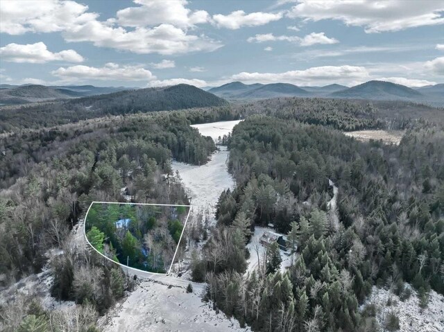 321 Antler Lake Rd, Call Listing Agent, NY 12886 - photo 11
