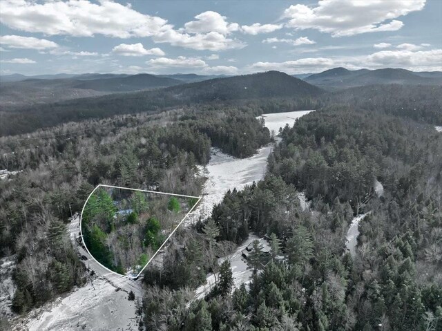 321 Antler Lake Rd, Call Listing Agent, NY 12886 - photo 18