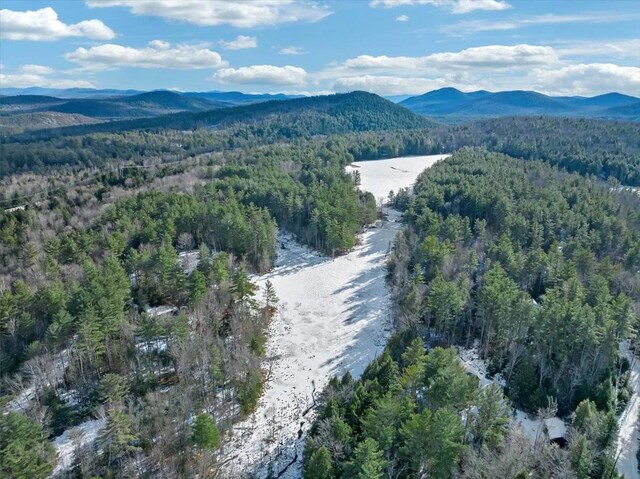 321 Antler Lake Rd, Call Listing Agent, NY 12886 - photo 22