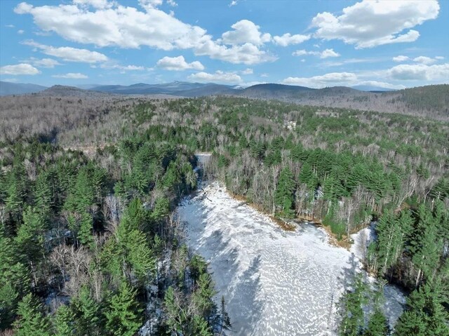 321 Antler Lake Rd, Call Listing Agent, NY 12886 - photo 26