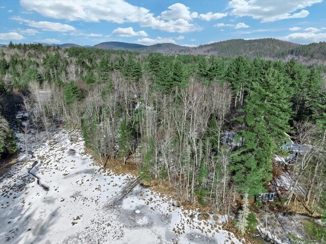 321 Antler Lake Rd, Call Listing Agent, NY 12886 - photo 27