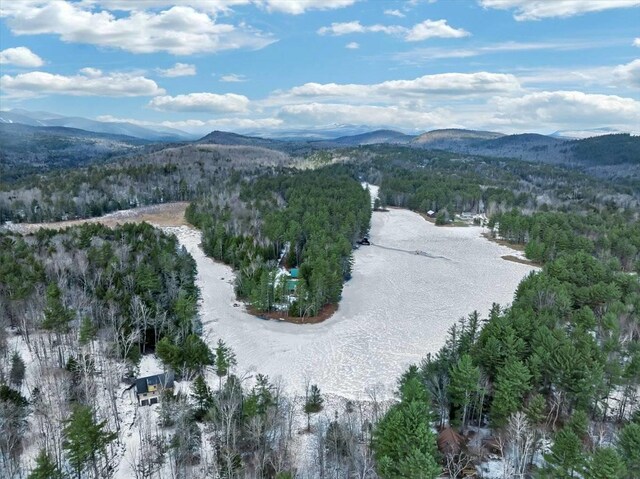 321 Antler Lake Rd, Call Listing Agent, NY 12886 - photo 31