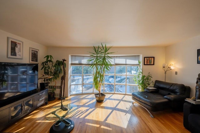 living room with light wood-type flooring