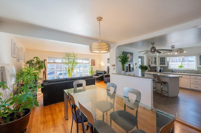 dining space featuring ceiling fan and light hardwood / wood-style flooring