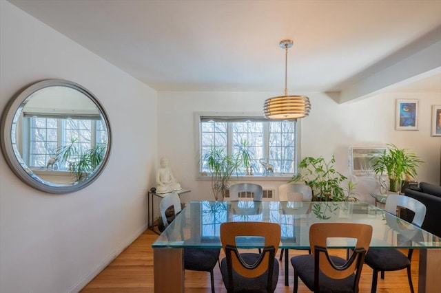 dining room with plenty of natural light and light hardwood / wood-style flooring