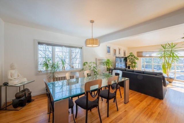 dining area with a healthy amount of sunlight and light hardwood / wood-style floors