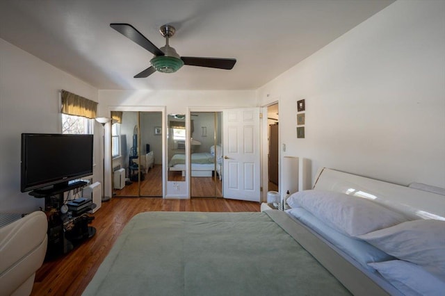 bedroom with ceiling fan, hardwood / wood-style flooring, radiator heating unit, and multiple closets