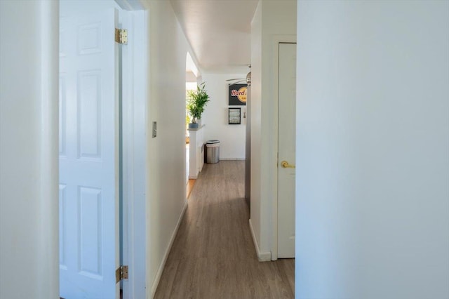 hall featuring wood-type flooring