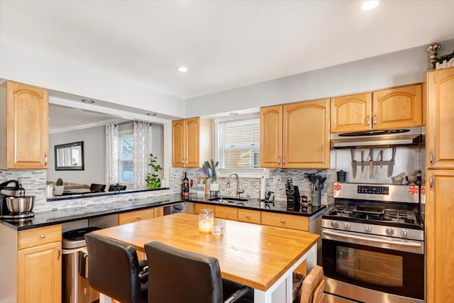 kitchen with a breakfast bar, sink, kitchen peninsula, and gas stove