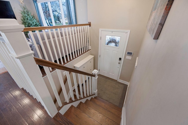 entrance foyer featuring dark hardwood / wood-style flooring