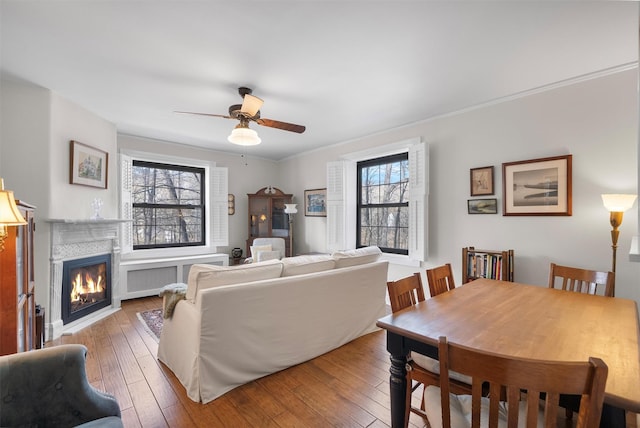 living room with ornamental molding, dark wood-type flooring, radiator heating unit, and ceiling fan