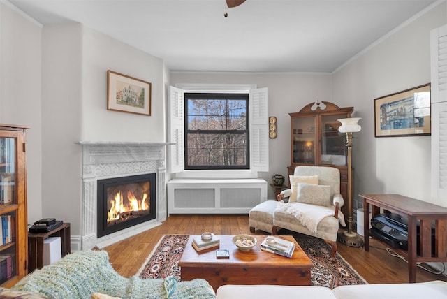 living room featuring crown molding, radiator, and light hardwood / wood-style floors