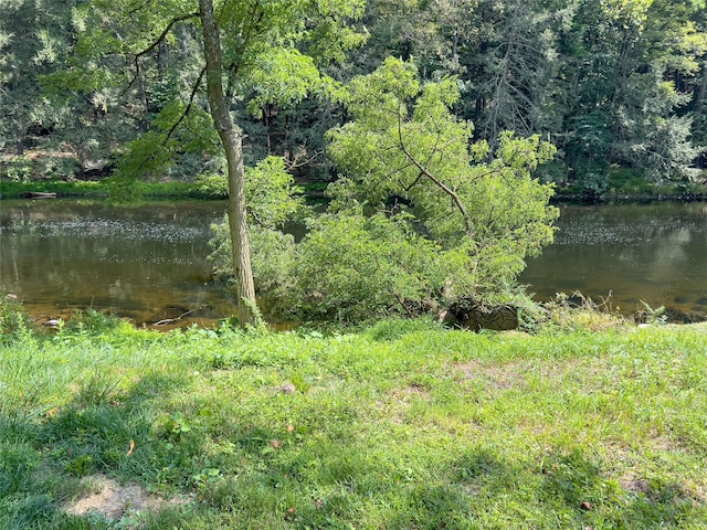 view of water feature