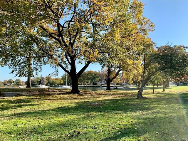 view of property's community featuring a water view and a lawn