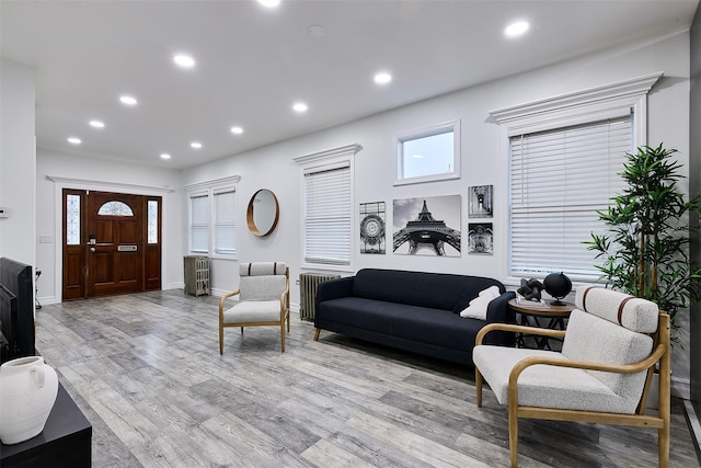 living room featuring light hardwood / wood-style flooring