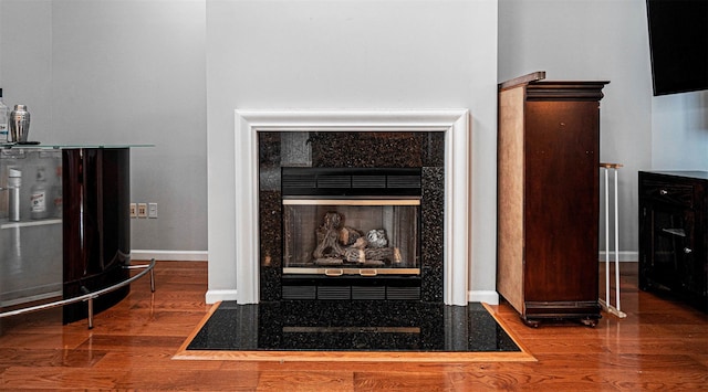 room details featuring a fireplace and hardwood / wood-style floors