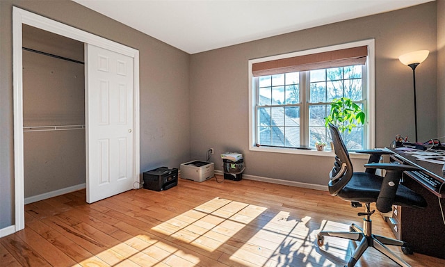 office featuring light hardwood / wood-style flooring