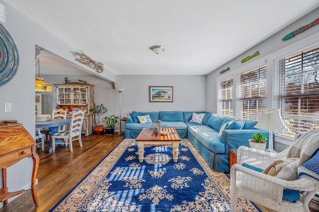 living room with dark wood-type flooring