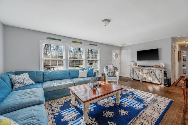 living room with dark hardwood / wood-style floors