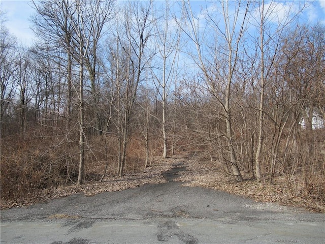 Overlook Dr, Pawling NY, 12564 land for sale