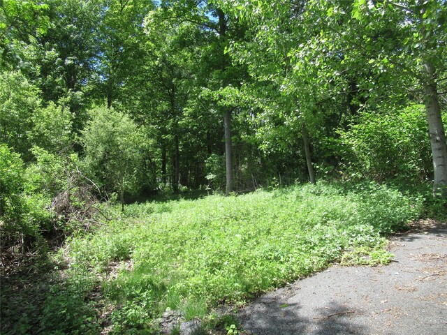Overlook Dr, Pawling, NY 12564
