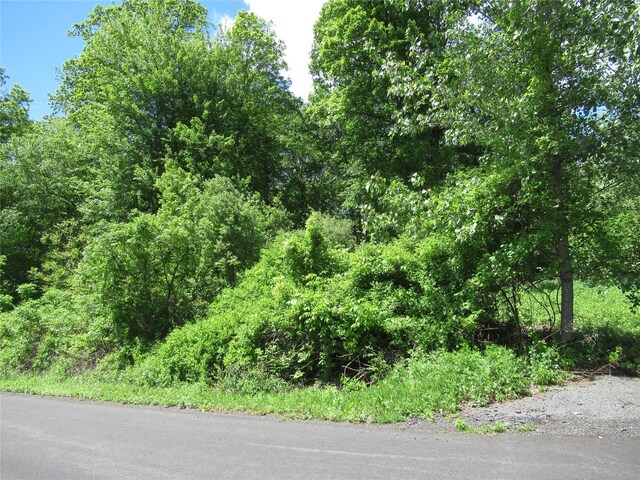 Overlook Dr, Pawling, NY 12564