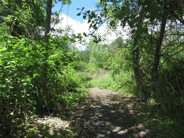 Overlook Dr, Pawling, NY 12564