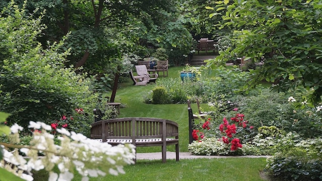 view of property's community featuring a lawn