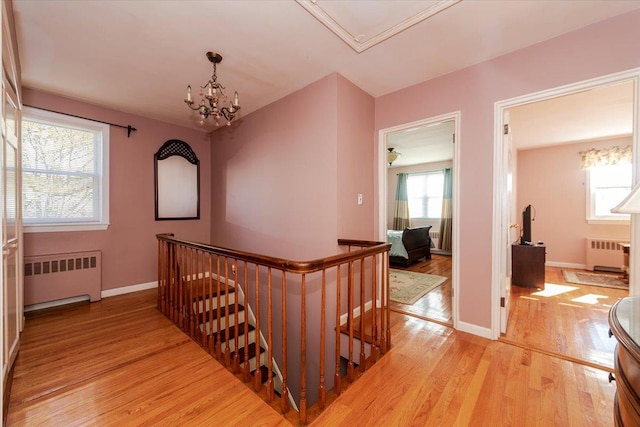 corridor featuring an inviting chandelier, radiator heating unit, and light wood-type flooring