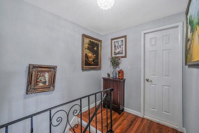 hall featuring dark hardwood / wood-style floors