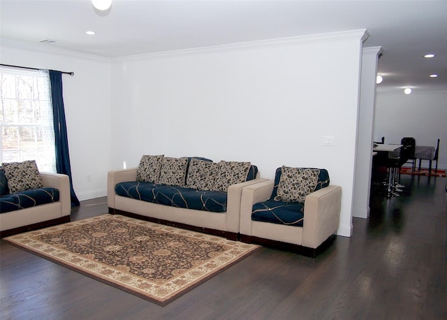 living room featuring crown molding and dark hardwood / wood-style floors