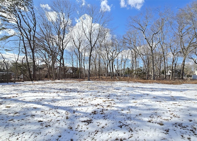 view of snowy yard