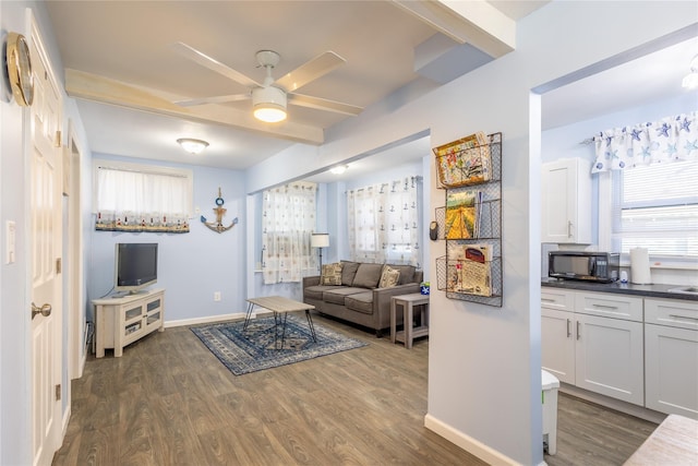 living room featuring beam ceiling, dark hardwood / wood-style floors, and ceiling fan