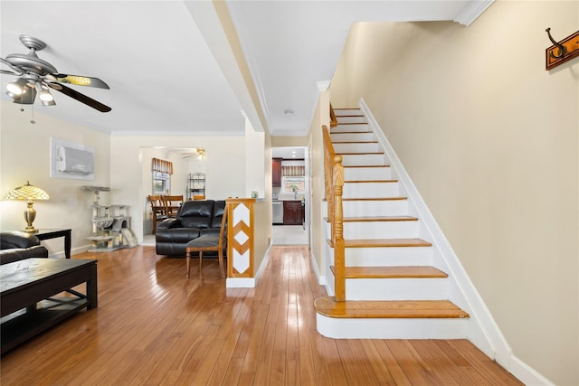 stairs featuring wood-type flooring, ornamental molding, and ceiling fan