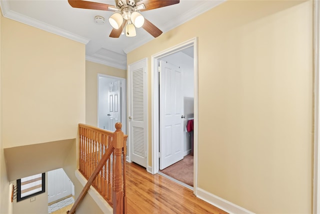 corridor featuring crown molding and light hardwood / wood-style floors