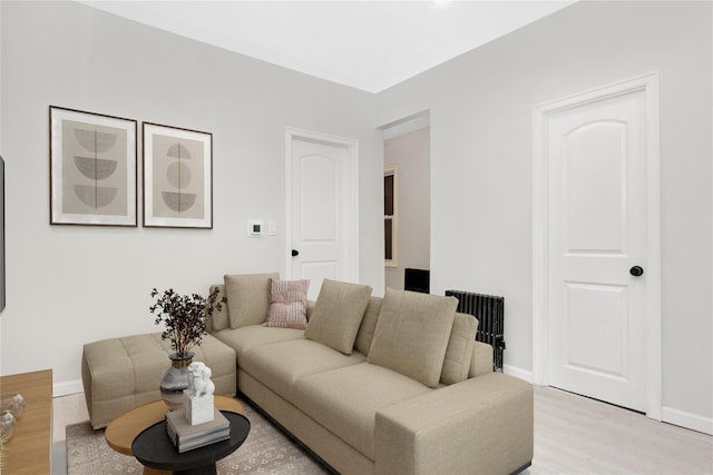 living room featuring light wood-type flooring