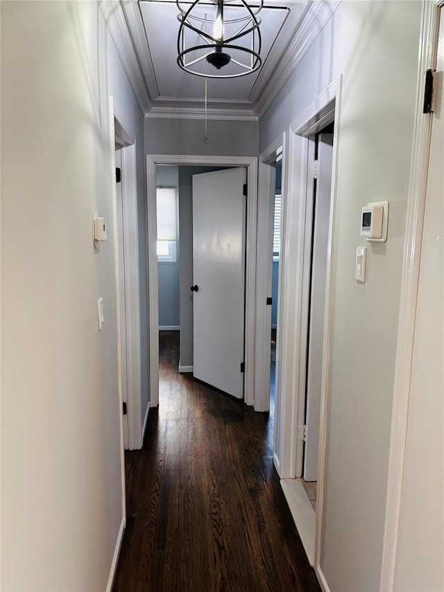 corridor with dark wood-type flooring and ornamental molding