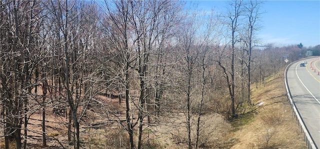 Liberty St, Monticello NY, 12701 land for sale