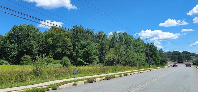 Sturgis Rd, Monticello NY, 12701 land for sale