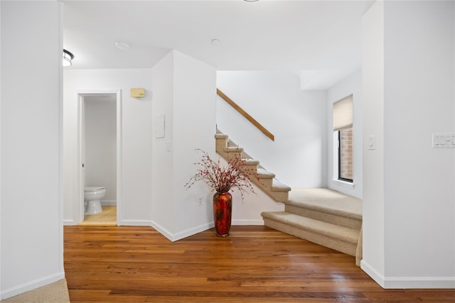 stairway with hardwood / wood-style floors