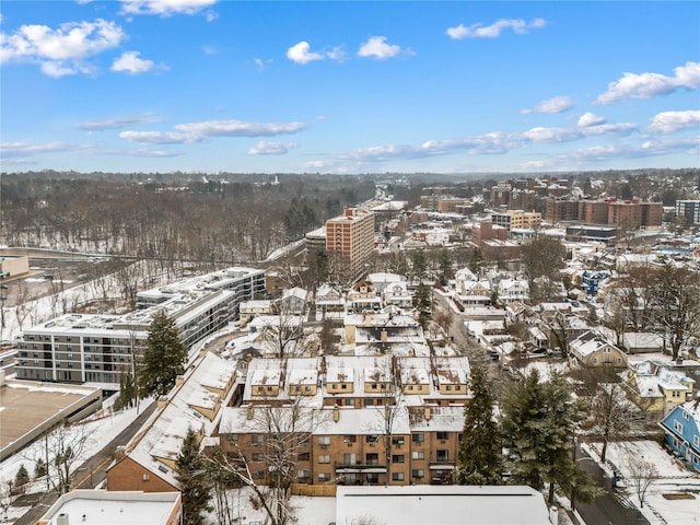 view of snowy aerial view