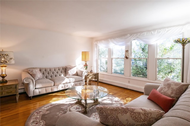 living room featuring a baseboard radiator and wood-type flooring