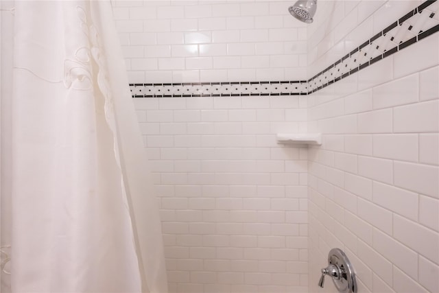 room details with shower / bath combo