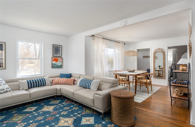 living room with hardwood / wood-style floors