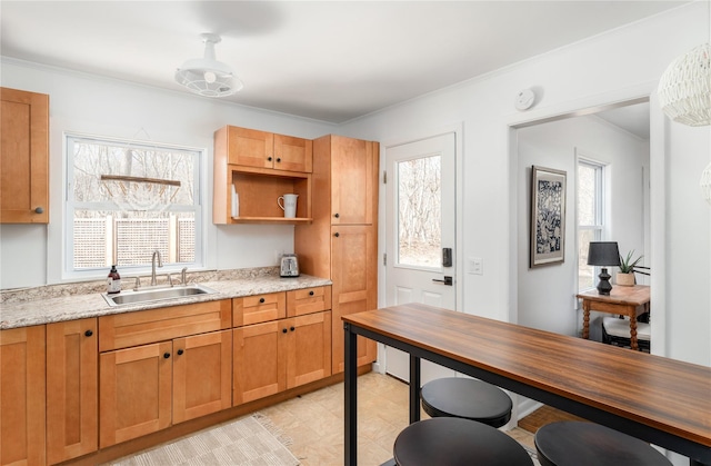 kitchen featuring sink, plenty of natural light, and light stone countertops