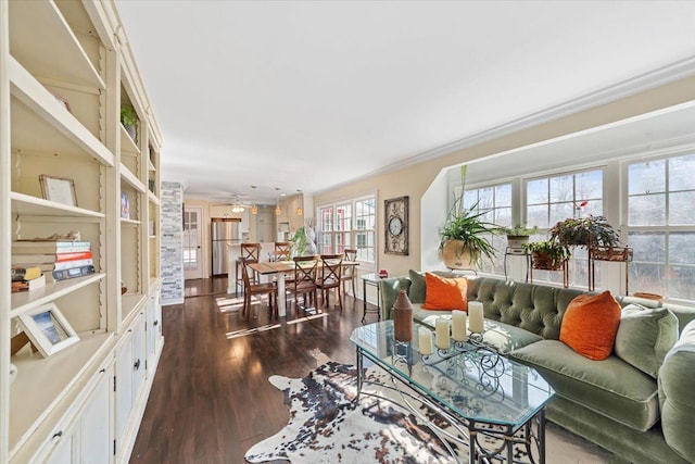 living area featuring ornamental molding and dark wood-style flooring