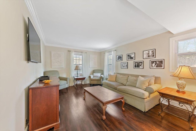 living room featuring crown molding and dark wood finished floors