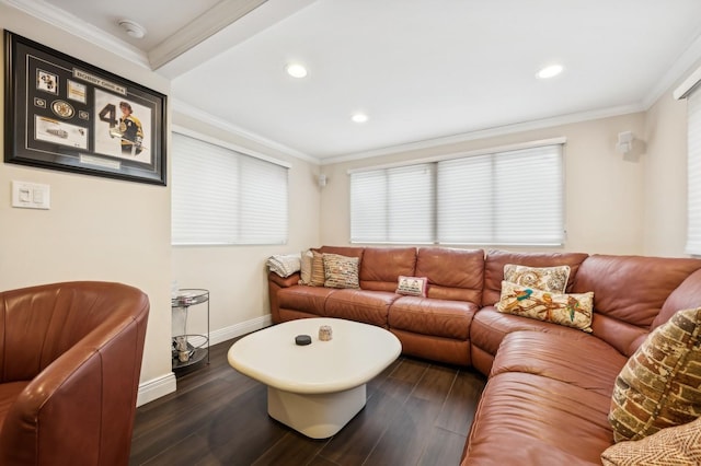 living room with crown molding and dark wood-type flooring