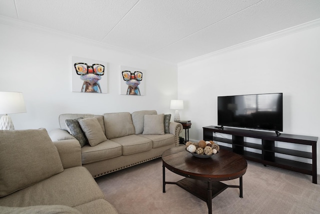 carpeted living room with ornamental molding and a textured ceiling